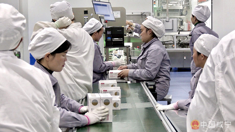 生物医药产业园相继引进14家生物医药企业 咸安聚力打造“百亿产业集群”